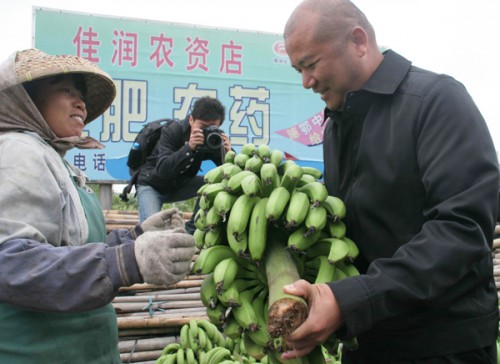 以購買香蕉的實際行動支持蕉農災後復產